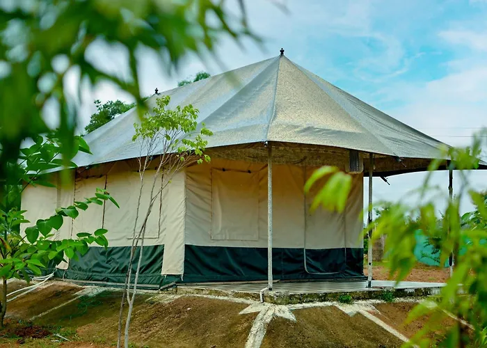 Bundeli Camps And Resorts, Panna
